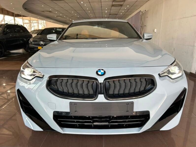 BMW 2 Series 220i M Sport Auto